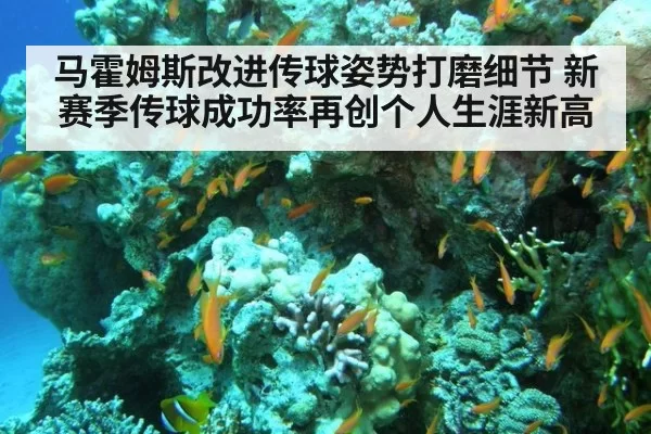 马霍姆斯改进传球姿势打磨细节 新赛季传球成功率再创个人生涯新高
