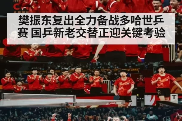 樊振东复出全力备战多哈世乒赛 国乒新老交替正迎关键考验
